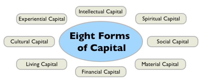 Fig_1_Eight_Forms_of_Captial